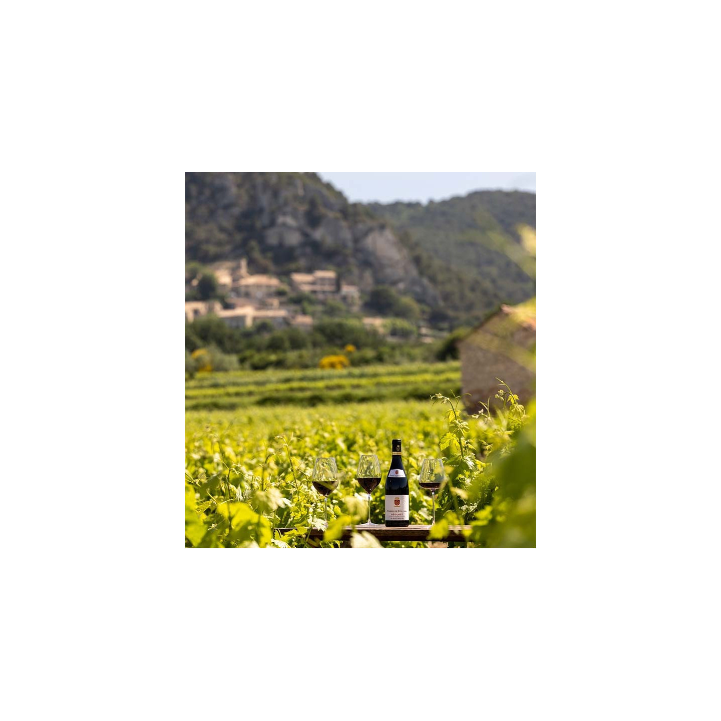 Pierre de Fontval - Côtes du Rhône Villages Séguret Rouge  8,90 €