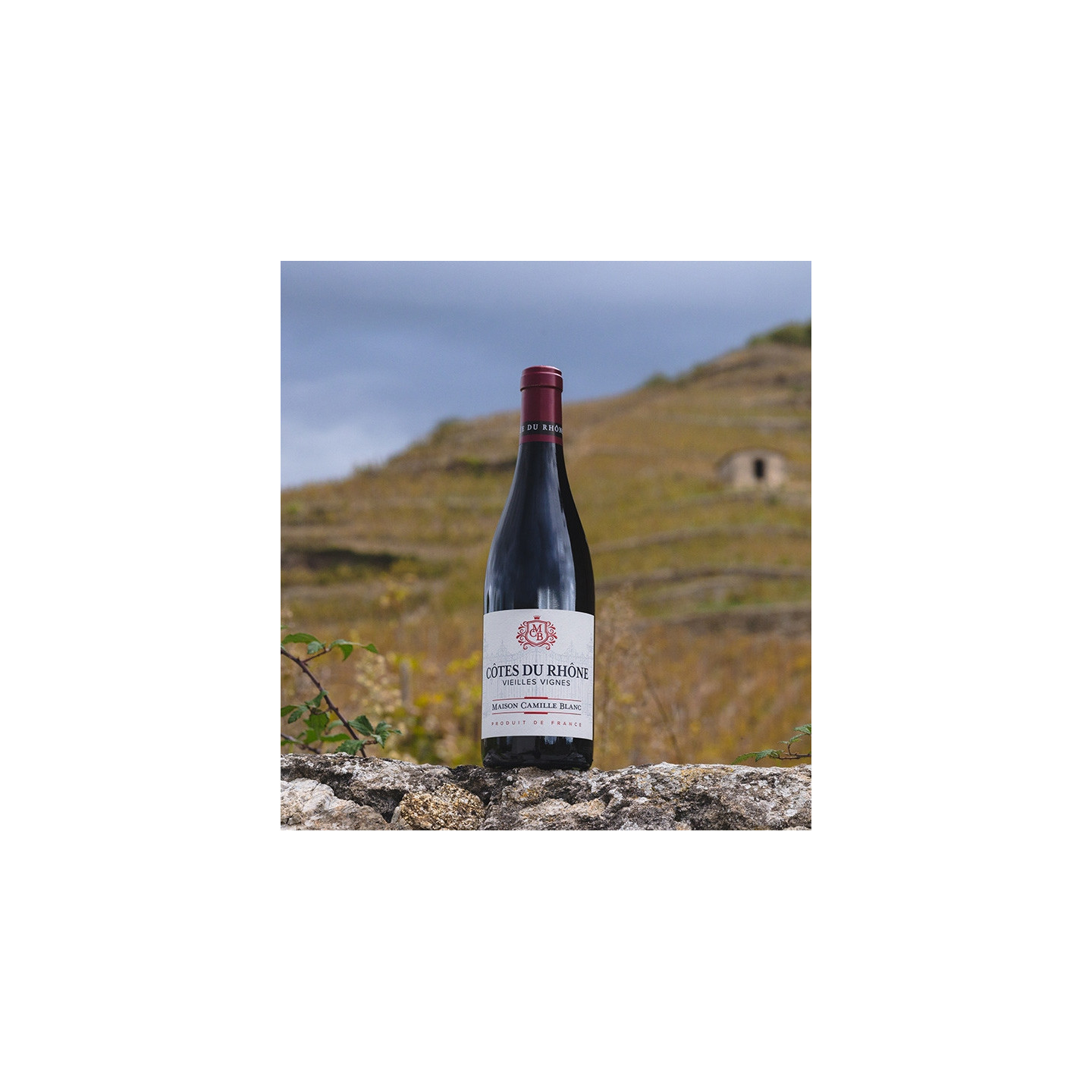 Maison Camille Blanc - Côtes du Rhône Rouge - Vieilles Vignes  8,90 €