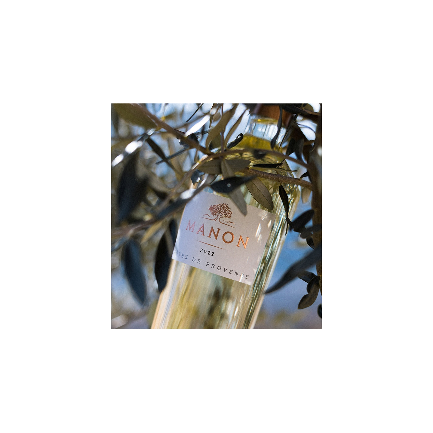 Manon - AOP Côtes de Provence Blanc  10,95 €