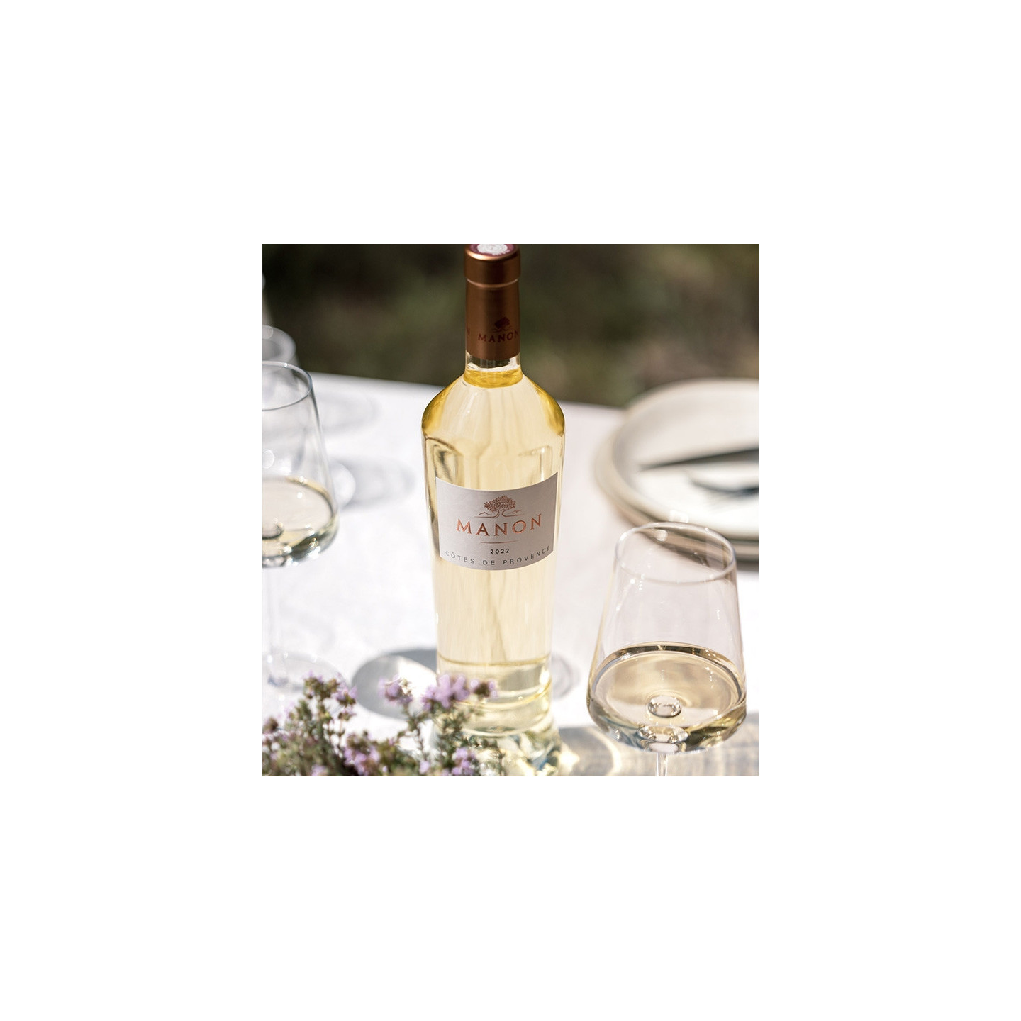 Manon - AOP Côtes de Provence Blanc  10,95 €