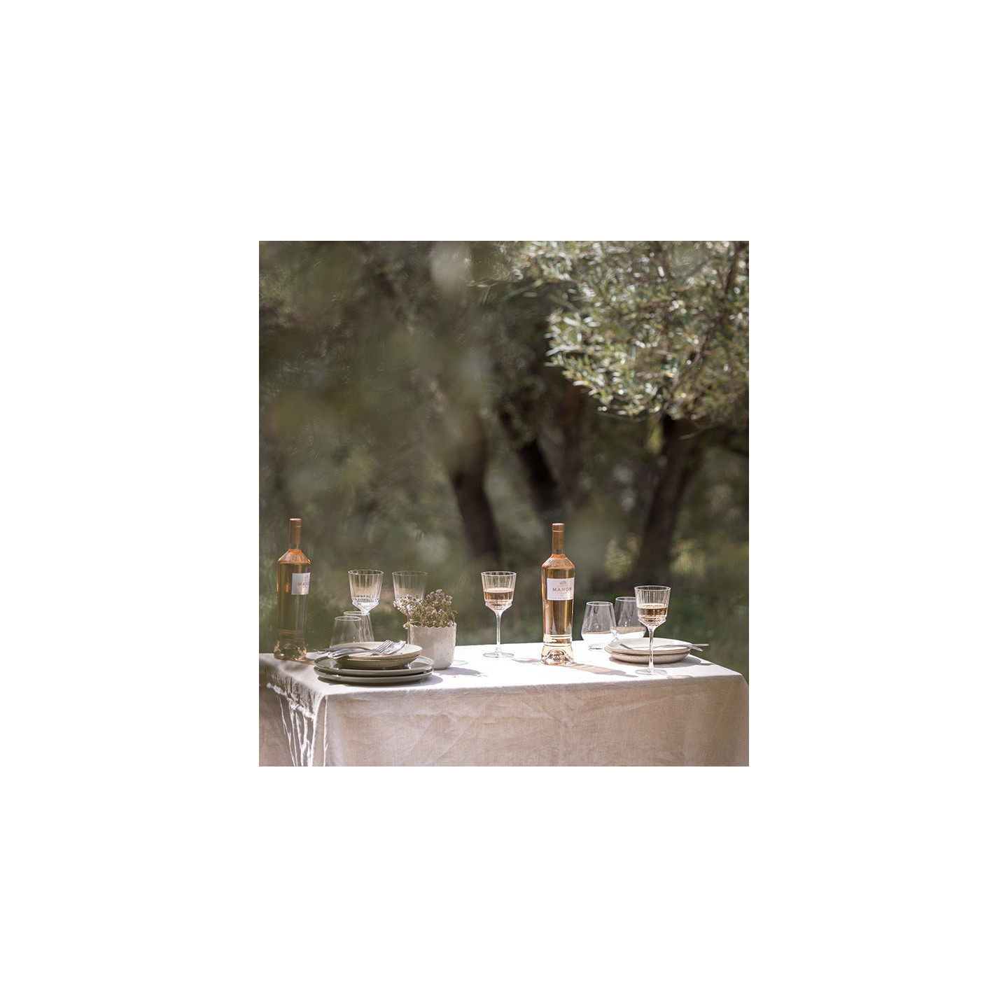 Manon - AOP Côtes de Provence Rosé  9,95 €