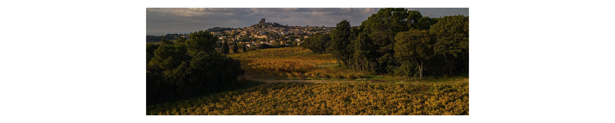 Gamme Olivier Ravoire