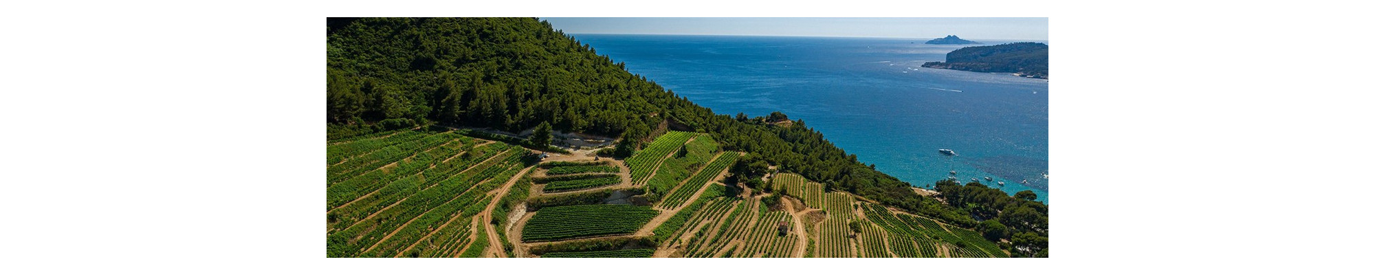 Autres cuvées de Provence