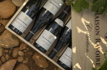 Nos vins de la vallée du Rhône