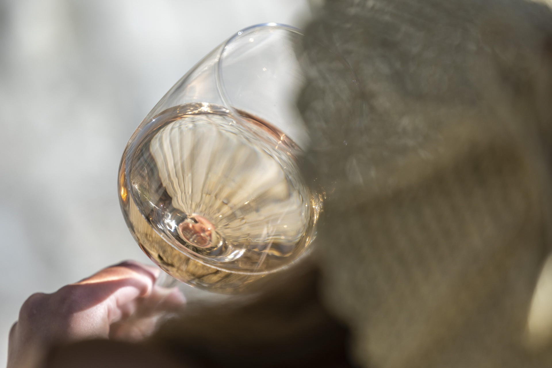 Nos vins de la vallée du Rhône
